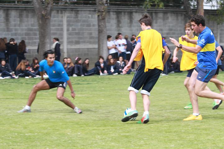 Ir a la Siguiente Foto