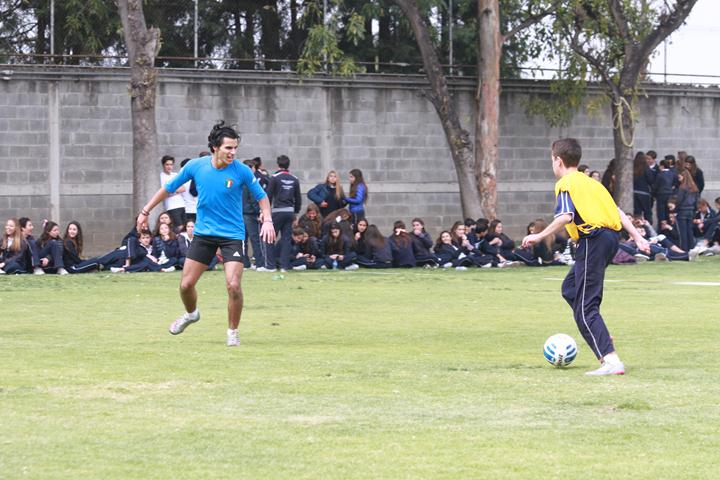 Ir a la Siguiente Foto