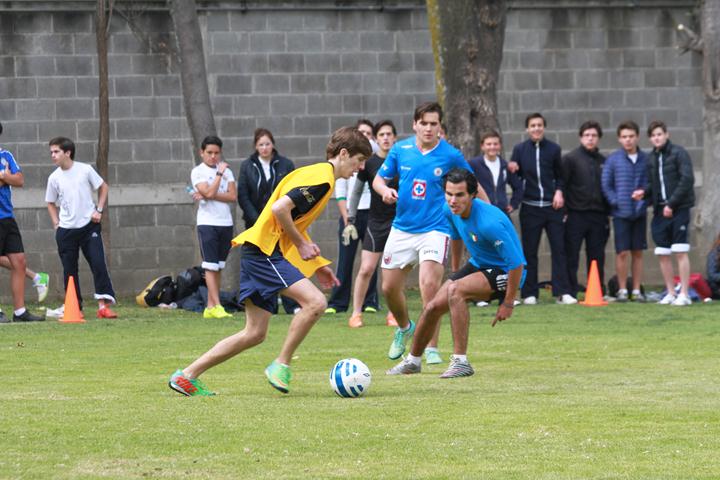 Ir a la Siguiente Foto