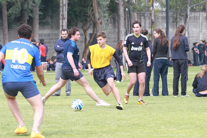 Ir a la Siguiente Foto