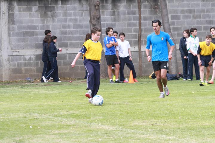 Ir a la Siguiente Foto