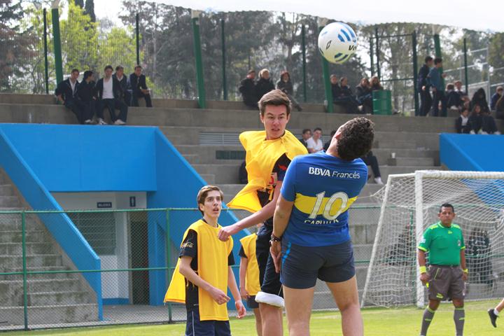 Ir a la Siguiente Foto