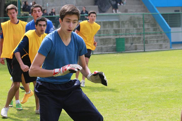 Ir a la Siguiente Foto