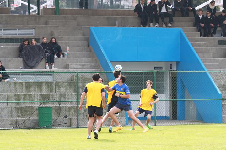 Ir a la Siguiente Foto