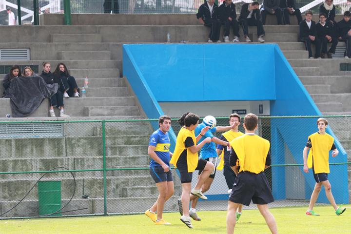 Ir a la Siguiente Foto