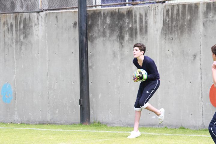 Ir a la Siguiente Foto