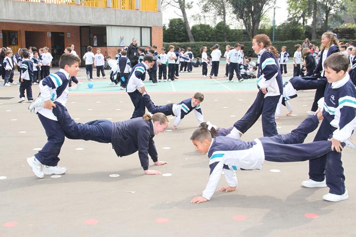 Ir a la Siguiente Foto