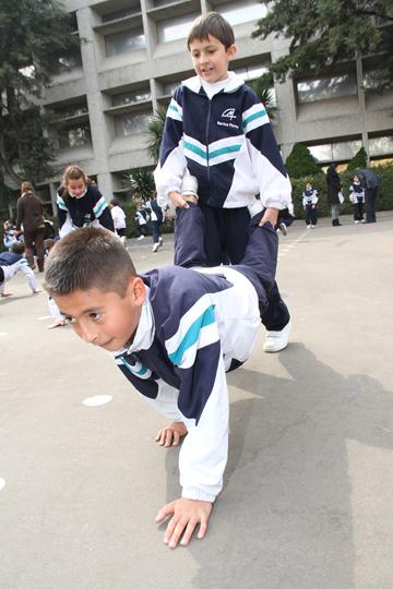 Ir a la Siguiente Foto