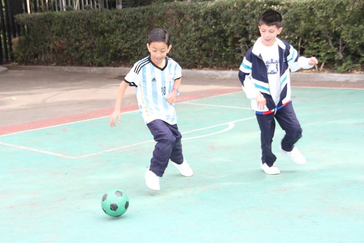 Ir a la Siguiente Foto