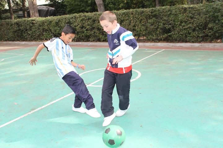 Ir a la Siguiente Foto