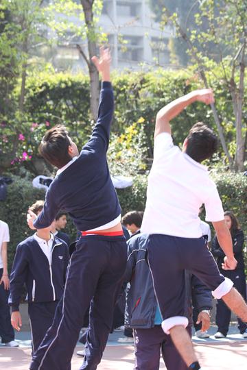 Ir a la Siguiente Foto