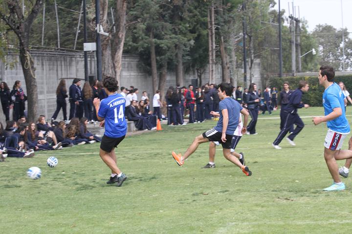 Ir a la Siguiente Foto