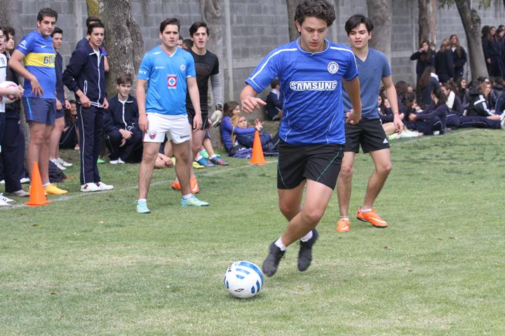Ir a la Siguiente Foto