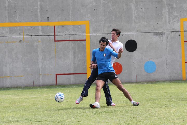 Ir a la Siguiente Foto