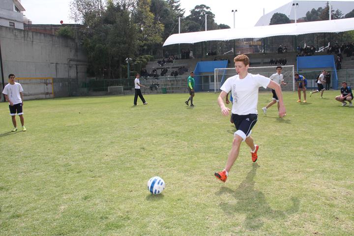 Ir a la Siguiente Foto