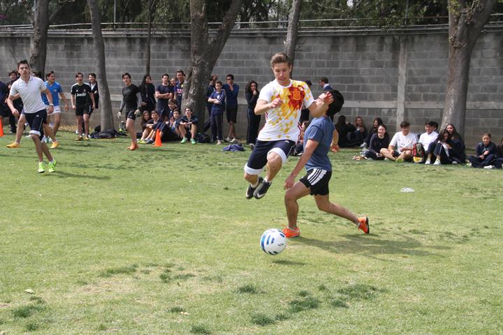 Ir a la Siguiente Foto