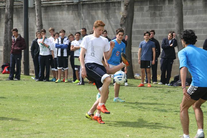 Ir a la Siguiente Foto