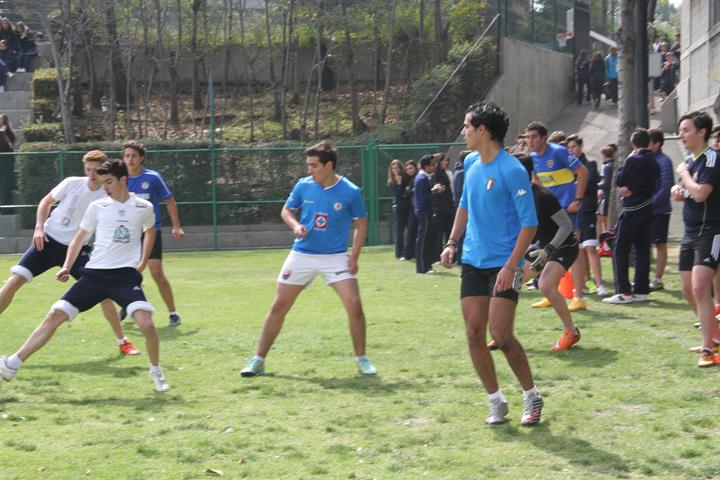 Ir a la Siguiente Foto