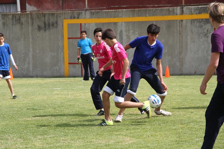 Ir a la Siguiente Foto