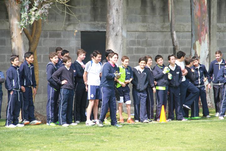 Ir a la Siguiente Foto