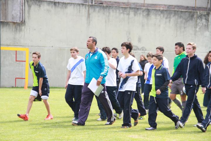 Ir a la Siguiente Foto