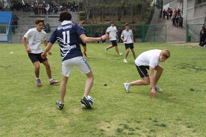 Ir a la Siguiente Foto