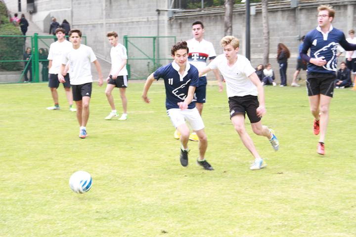 Ir a la Siguiente Foto