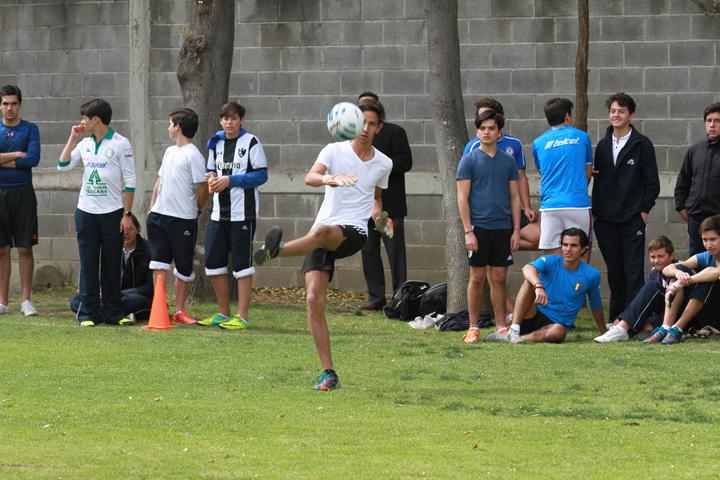 Ir a la Siguiente Foto