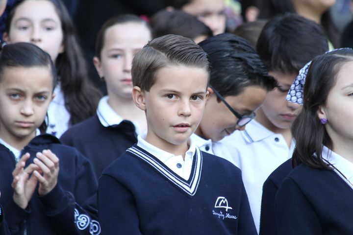 Ir a la Siguiente Foto