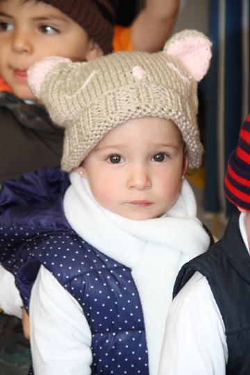 Ir a la Siguiente Foto