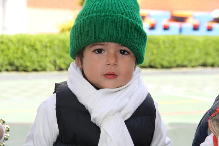 Ir a la Siguiente Foto