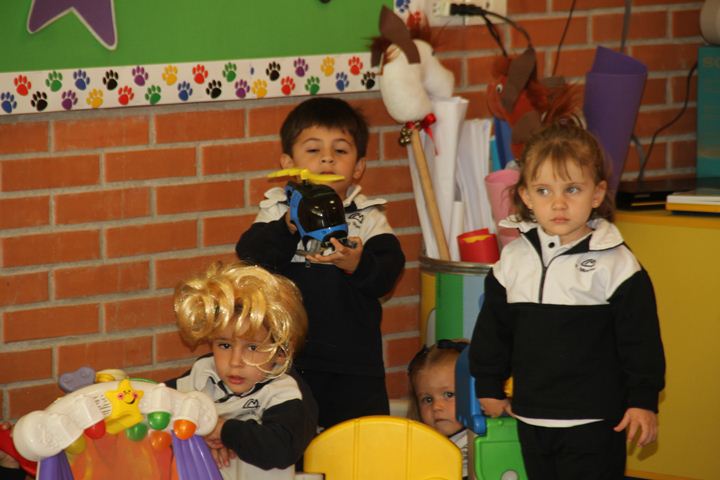 Ir a la Siguiente Foto
