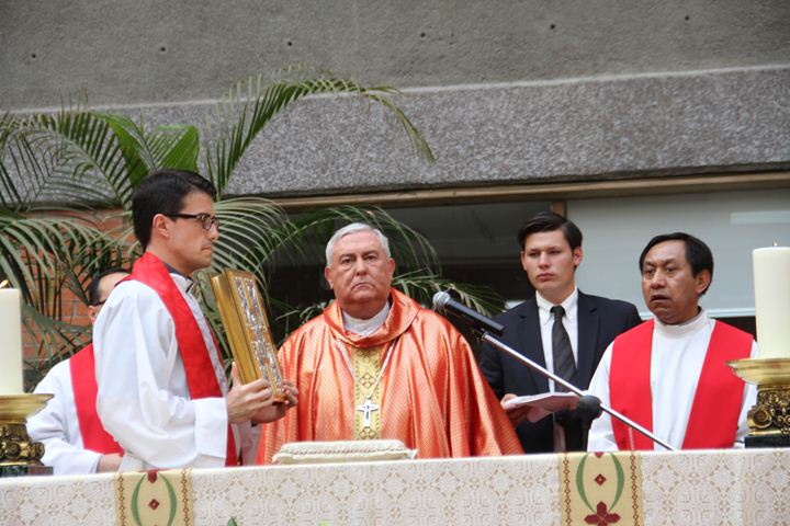Ir a la Siguiente Foto