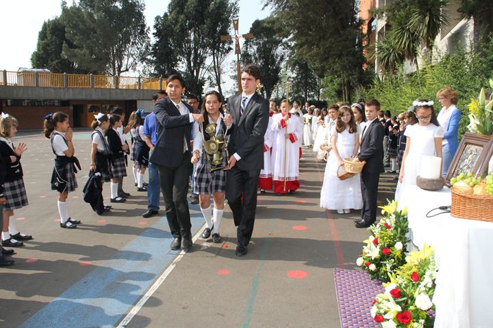 Ir a la Siguiente Foto