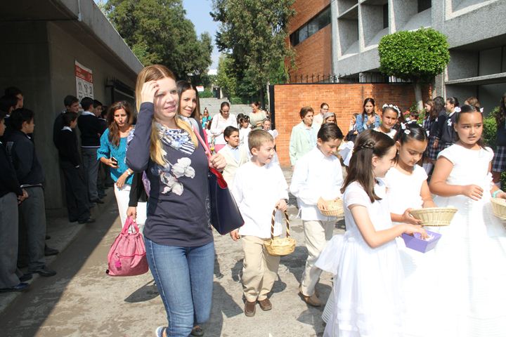 Ir a la Siguiente Foto