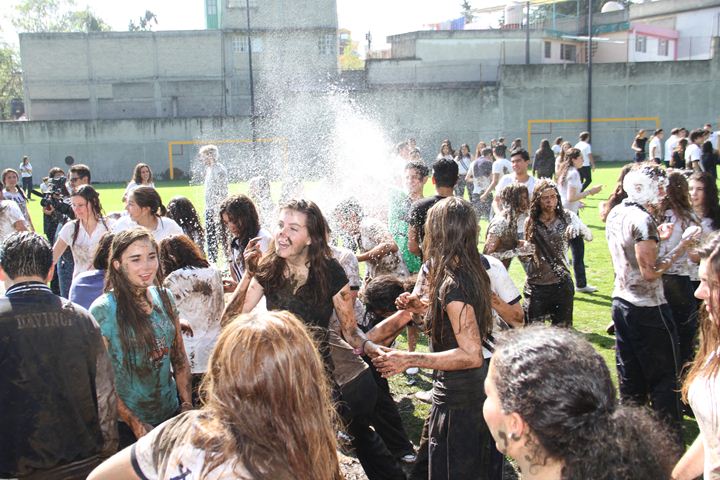 Ir a la Siguiente Foto