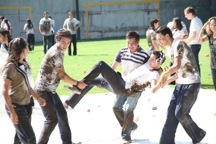 Ir a la Siguiente Foto