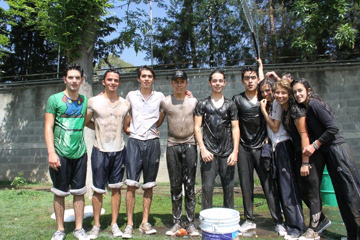 Ir a la Siguiente Foto