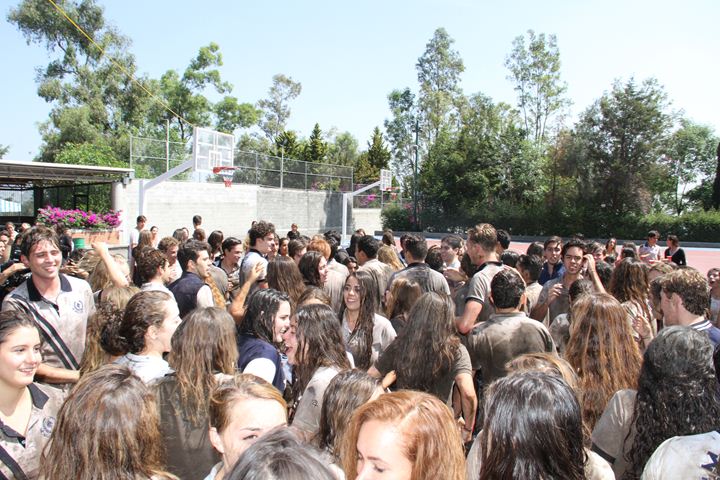 Ir a la Siguiente Foto