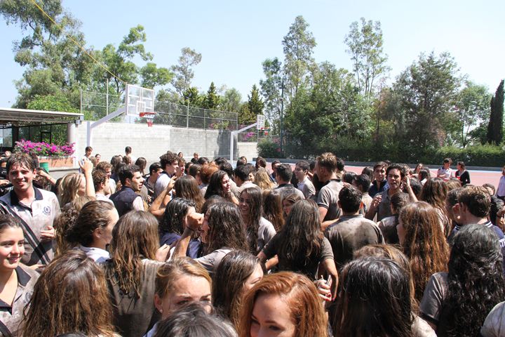 Ir a la Siguiente Foto