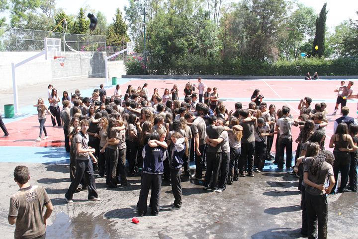 Ir a la Siguiente Foto