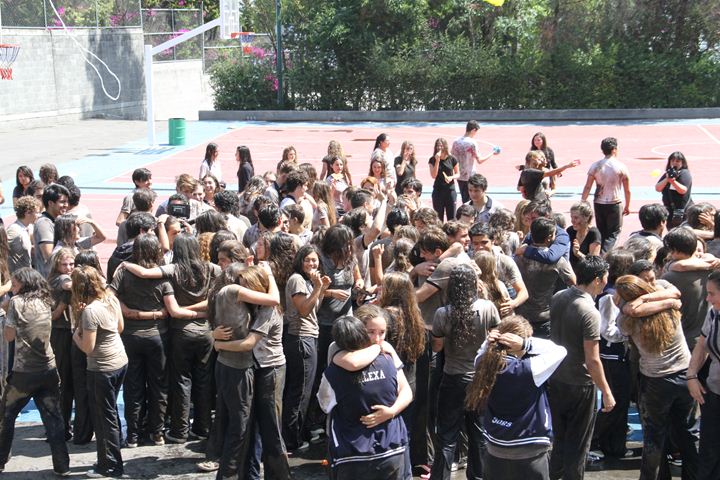 Ir a la Siguiente Foto