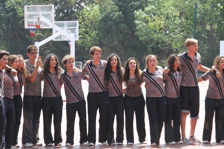 Ir a la Siguiente Foto