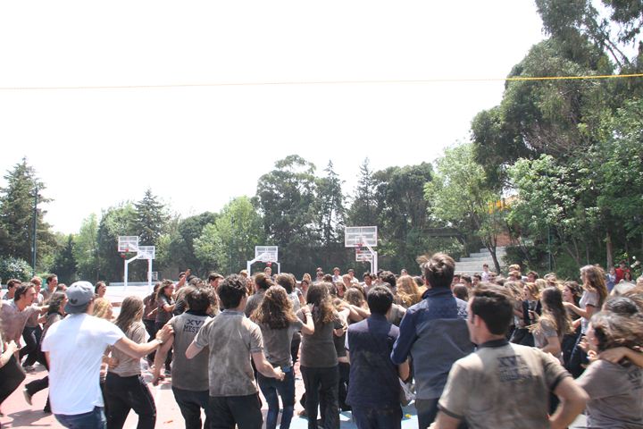 Ir a la Siguiente Foto