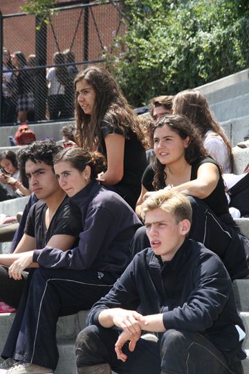 Ir a la Siguiente Foto