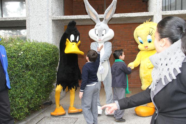 Ir a la Siguiente Foto