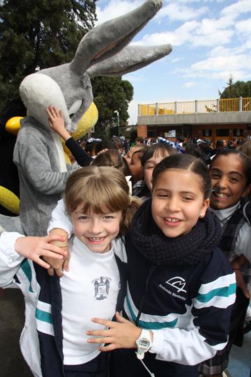 Ir a la Siguiente Foto