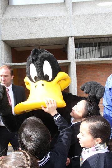 Ir a la Siguiente Foto