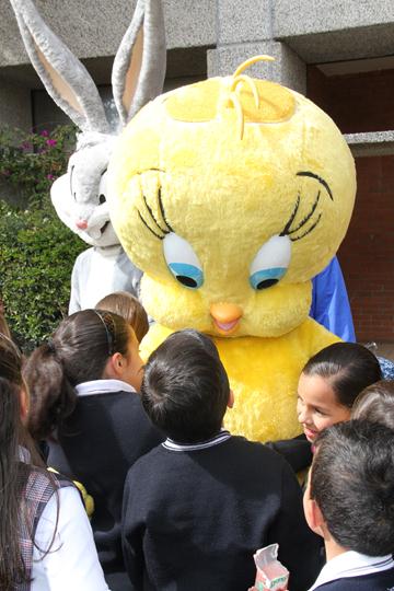 Ir a la Siguiente Foto