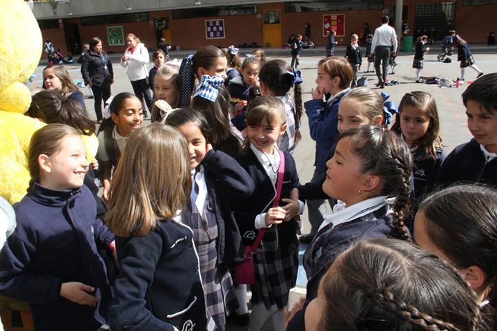 Ir a la Siguiente Foto